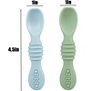 PandaEar 2 Pack Stainless Steel Baby Suction Plates with 2 Pack Spoons(Blue/Green)